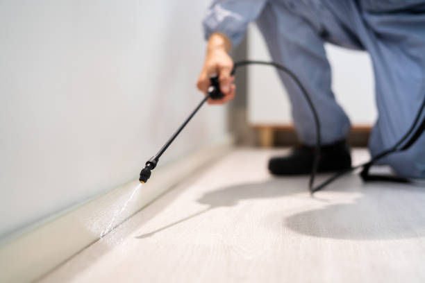 Professional exterminator conducting IPM assessment in De Soto